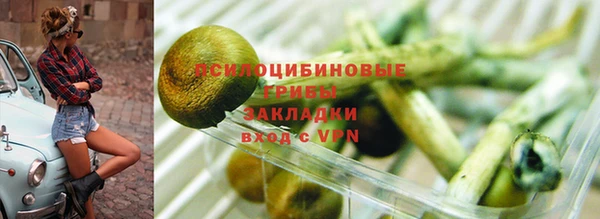 гидра Аркадак