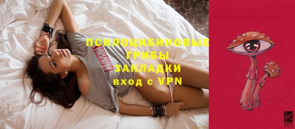 шишки Армянск