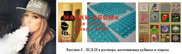 гидра Аркадак